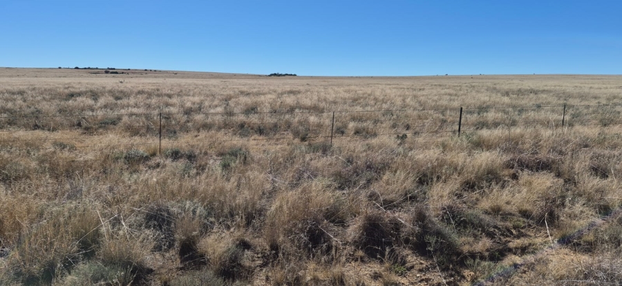 Commercial Property for Sale in Dealesville Free State